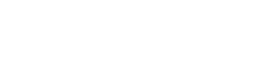 logo of 1916 centenery